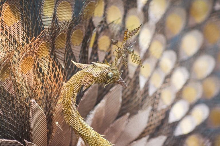 peacock expanded mesh sculpture 