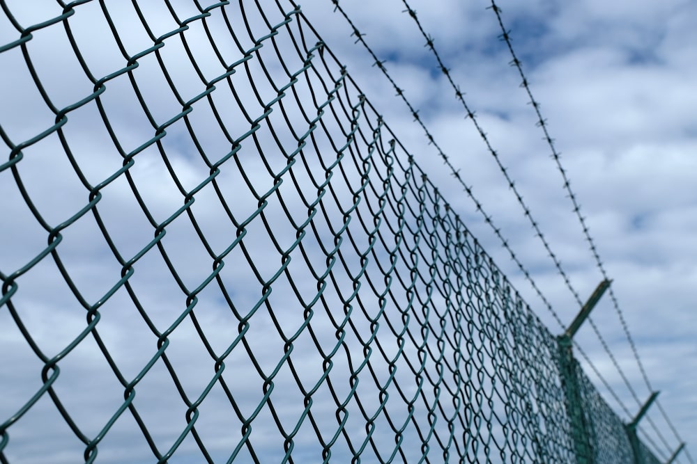 Mesh fencing – what are the options? - News