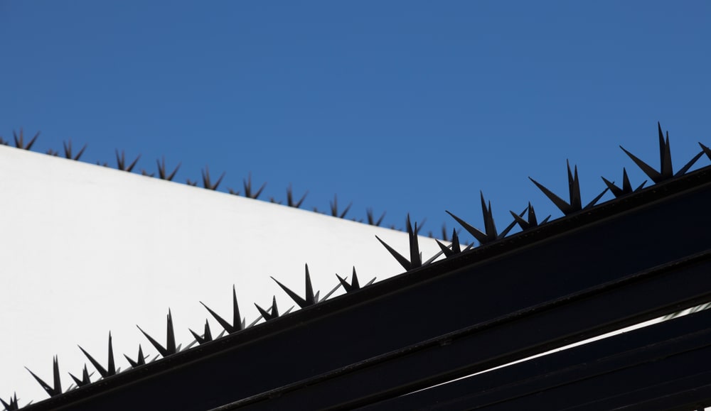 Croc Top Security Fence Spikes