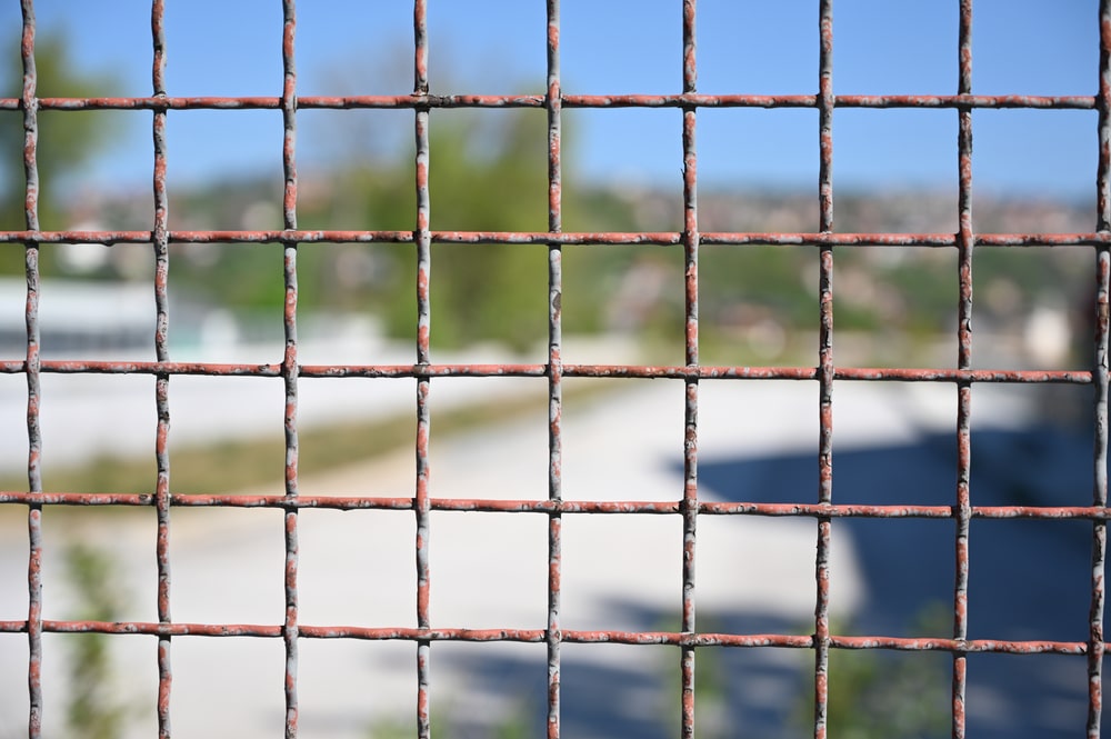 Mesh fencing – what are the options? - News